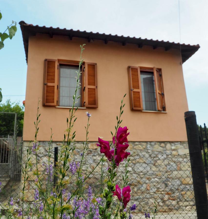 Paliouri House Villa ภายนอก รูปภาพ
